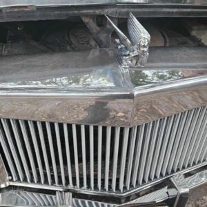 1980 - 1992 Cadillac Fleetwood brougham chrome asc grill enterprise e&g grille